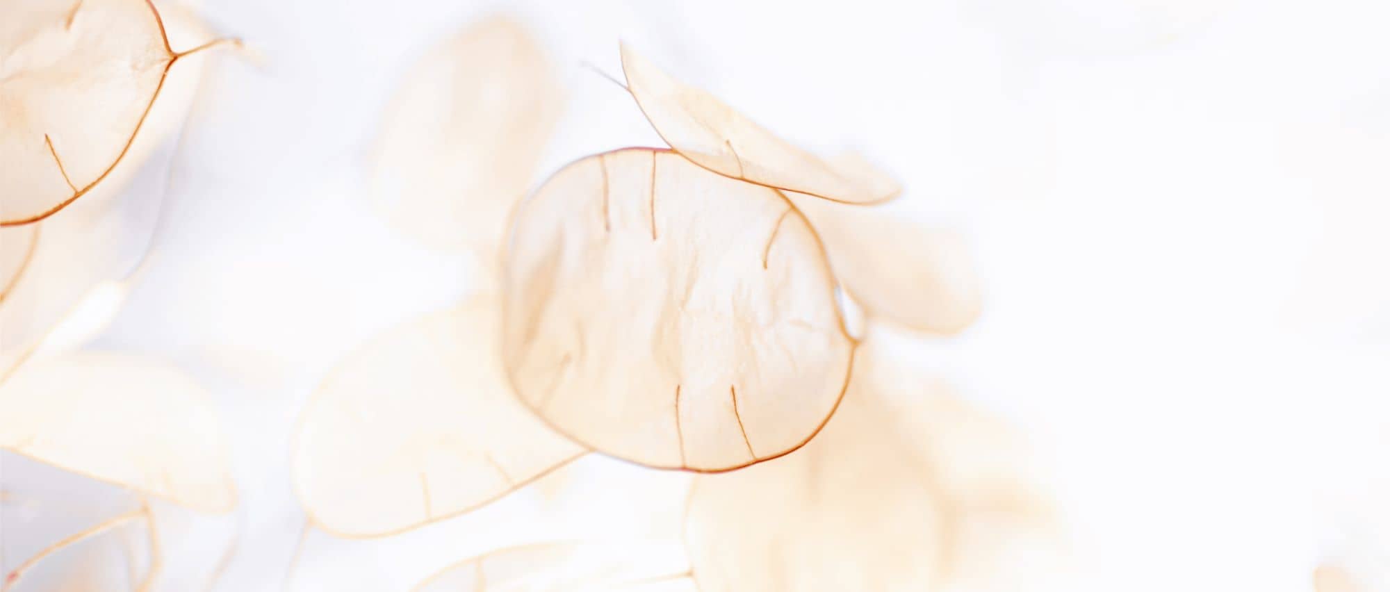 cream background with ripple